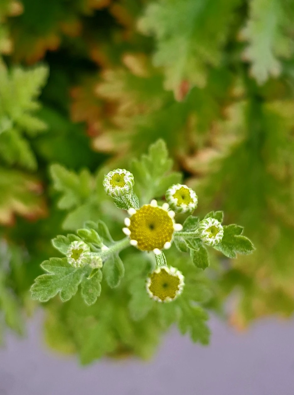 20220625_163152.jpg?type=w1