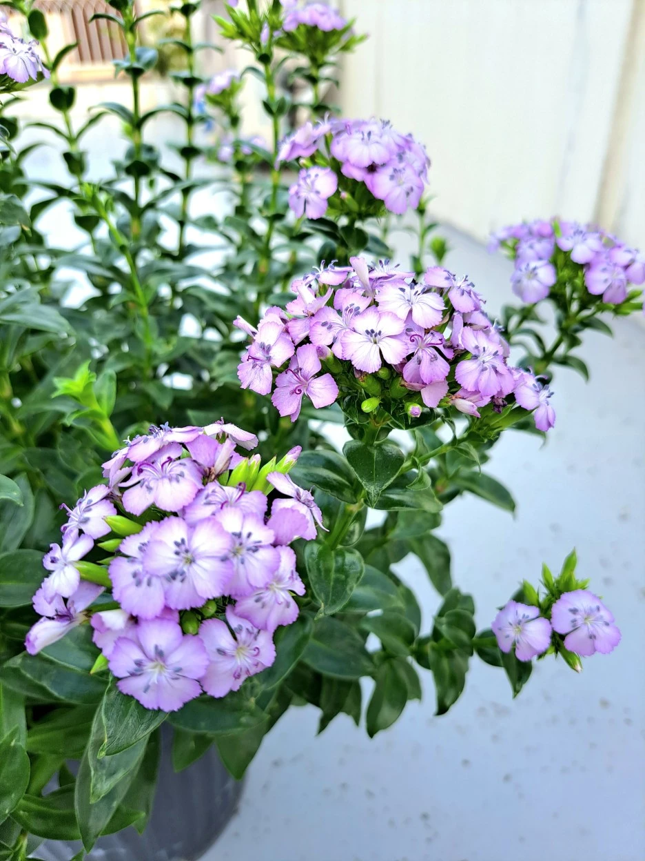 20220729_182033.jpg?type=w1