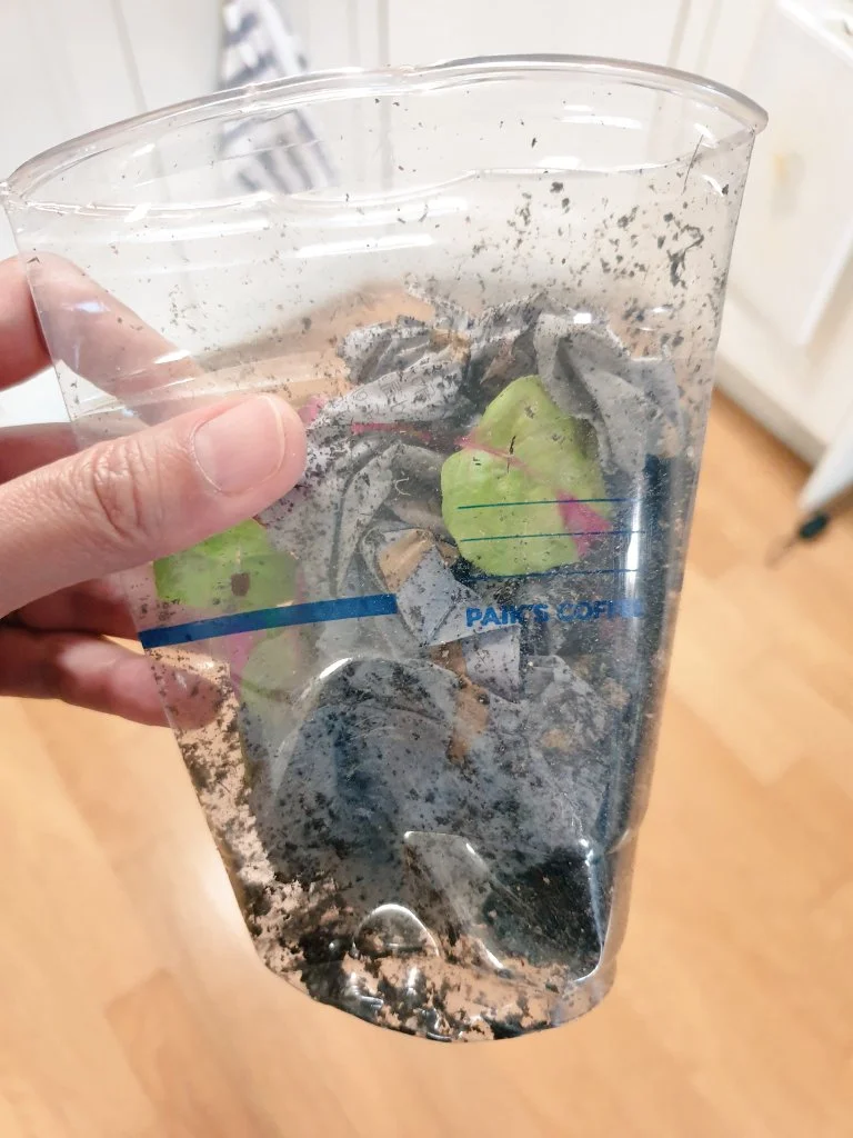 20190830_1.jpg?type=w1