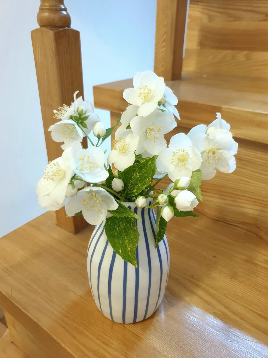 20210520_181004.jpg?type=w1