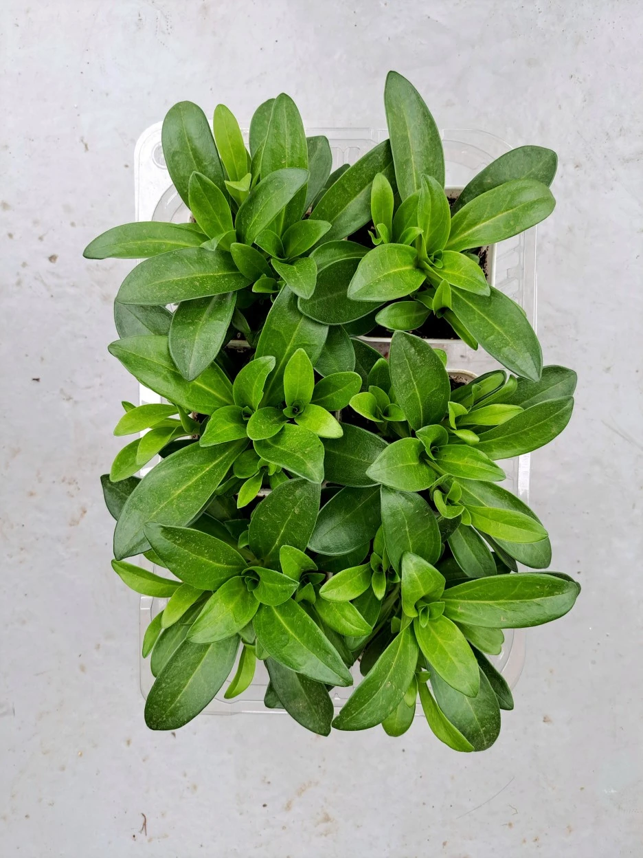 20220429_172356.jpg?type=w1