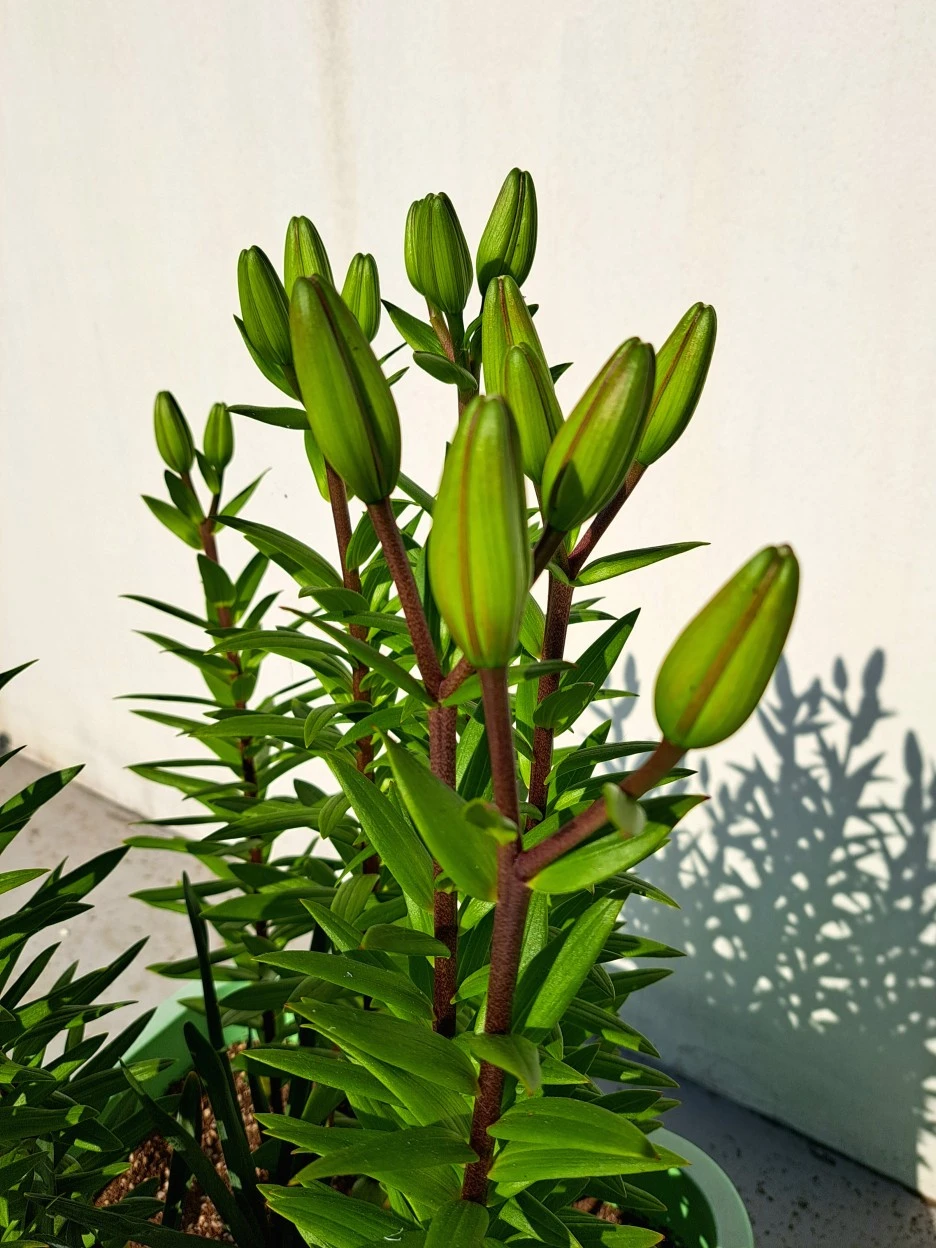 20220531_082510.jpg?type=w1