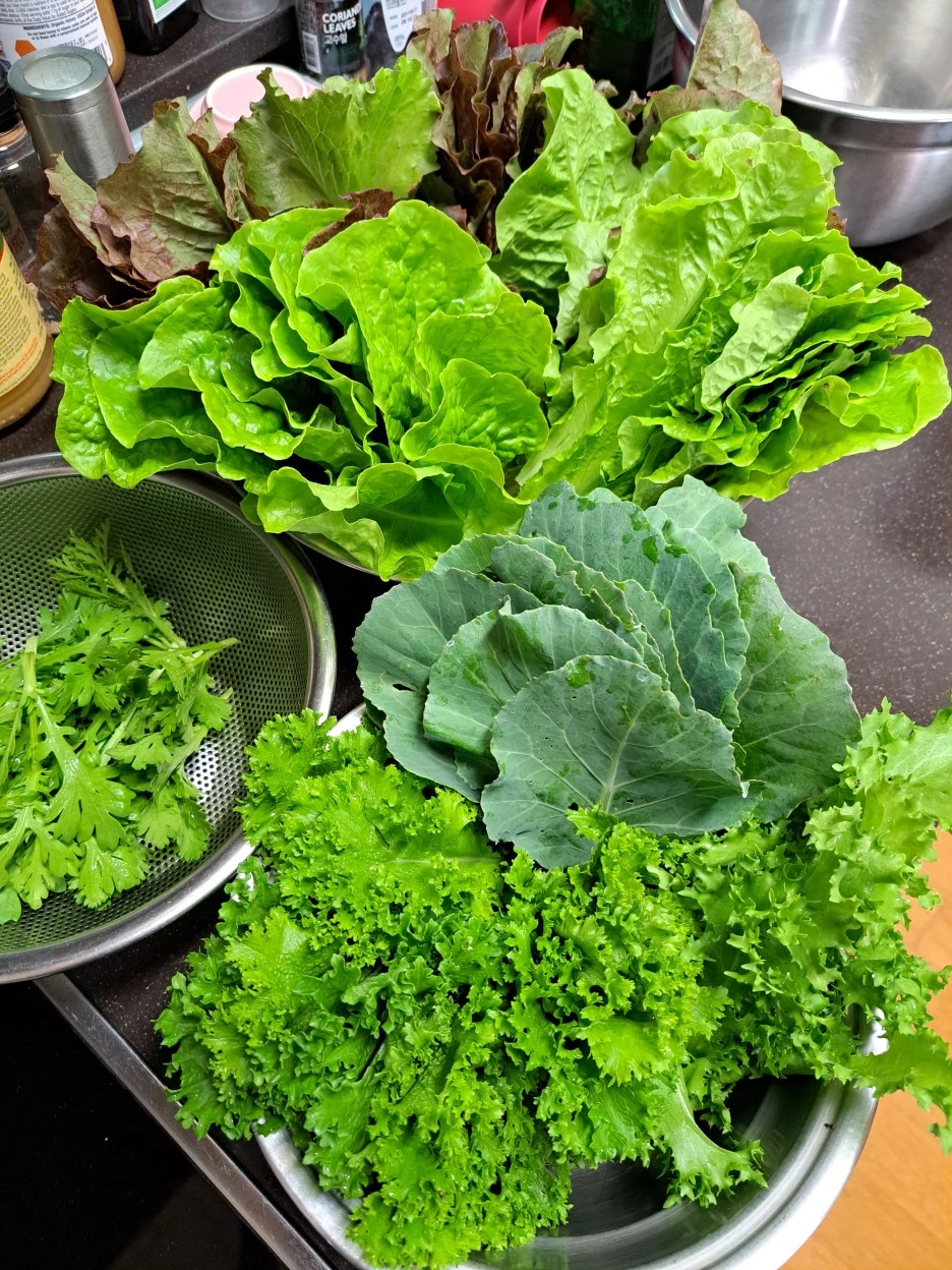 20230608_092841.jpg?type=w1