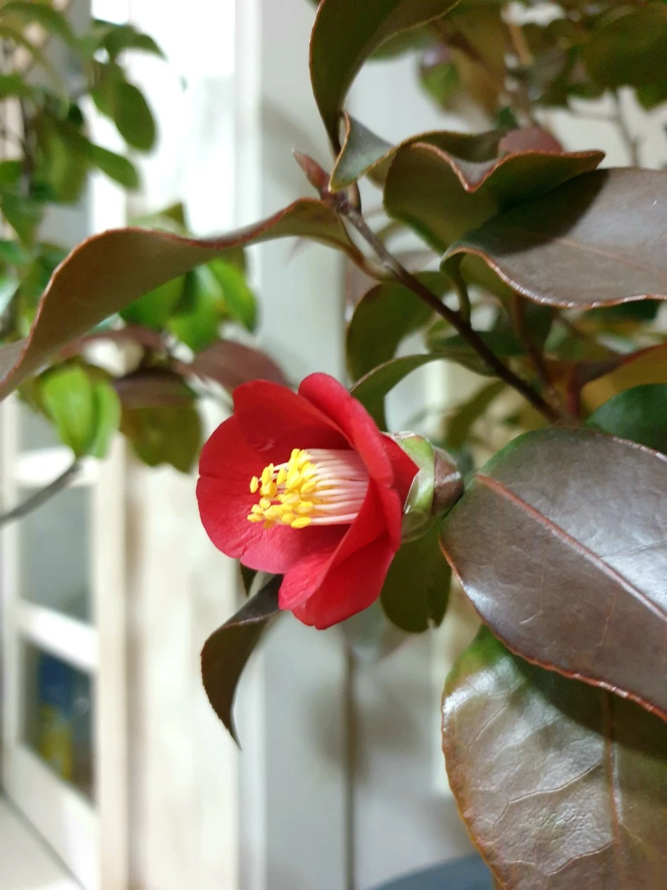 20220105_232955.jpg?type=w1