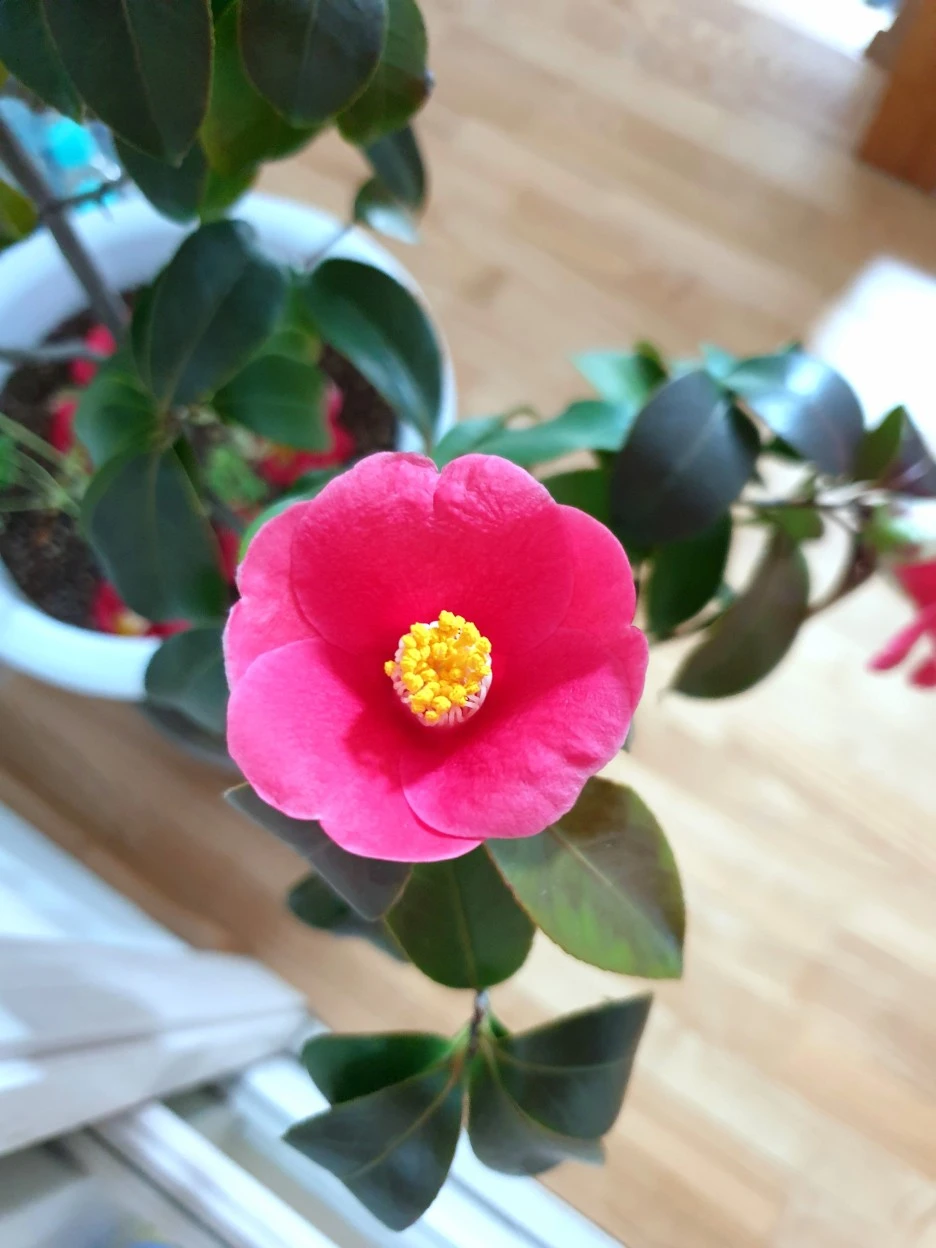 20220312_152121.jpg?type=w1