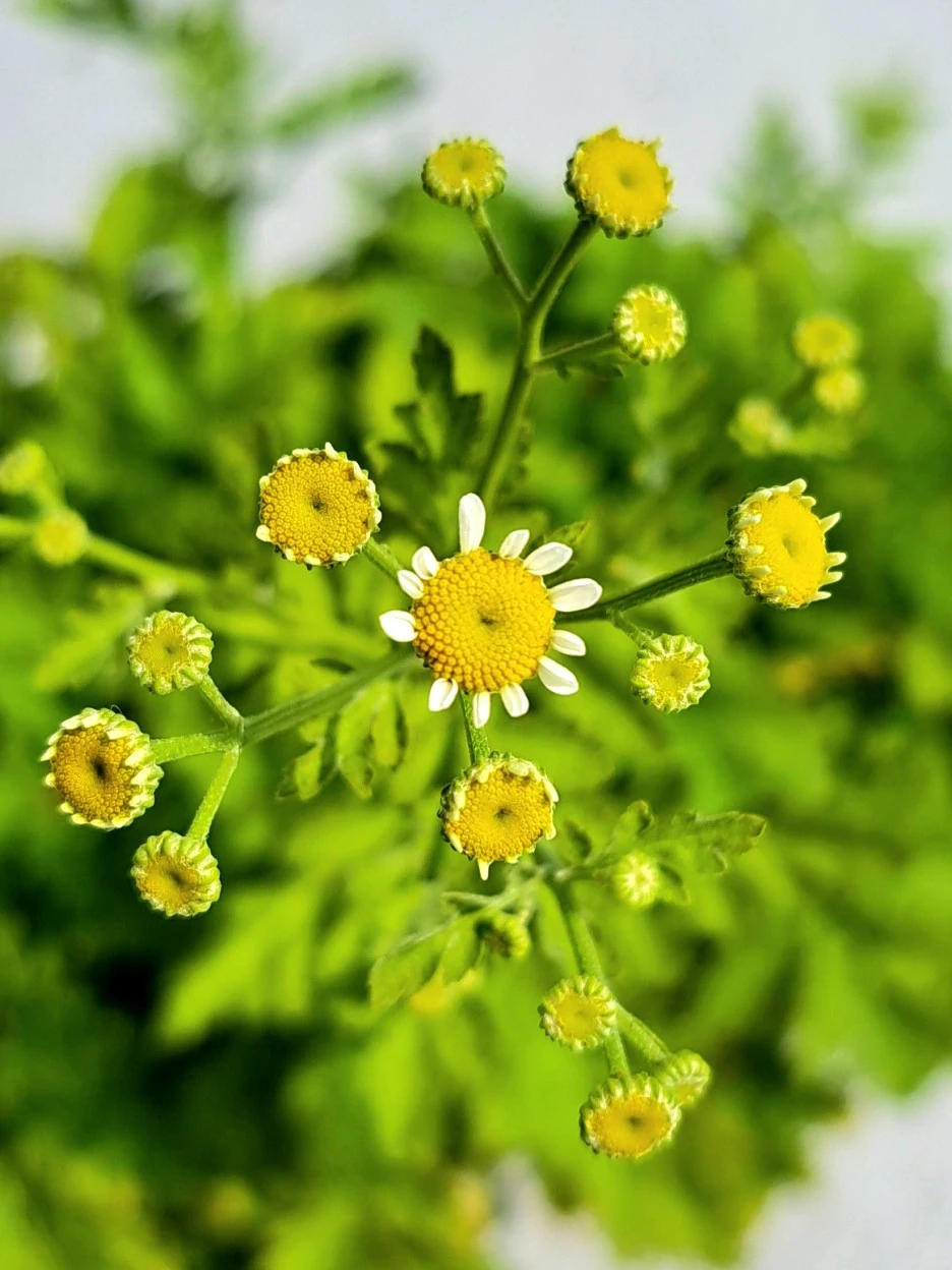 20220613_101020.jpg?type=w1