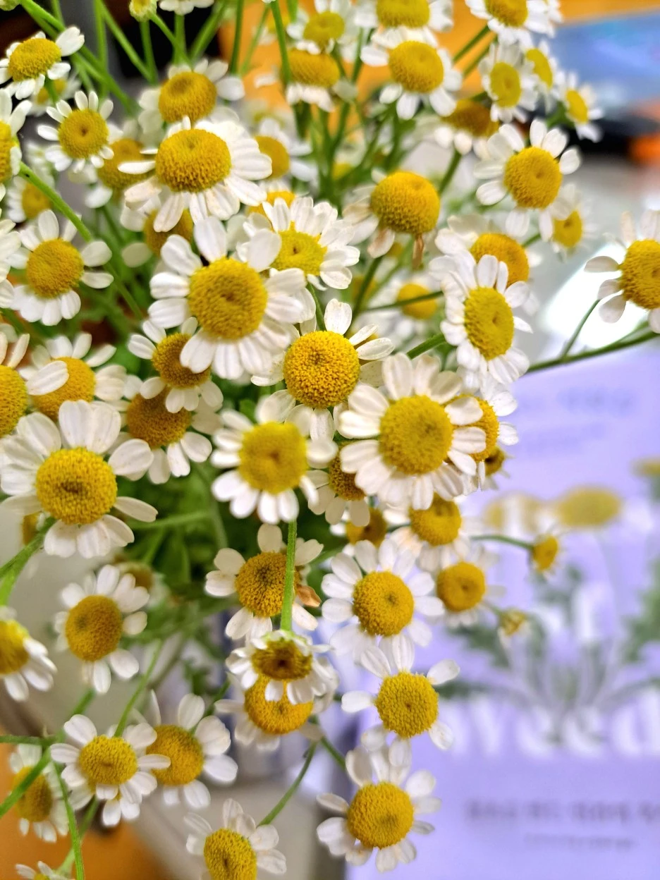 20220702_000128.jpg?type=w1