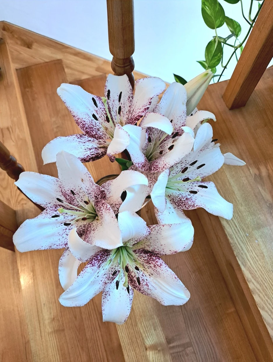 20220612_120118.jpg?type=w1