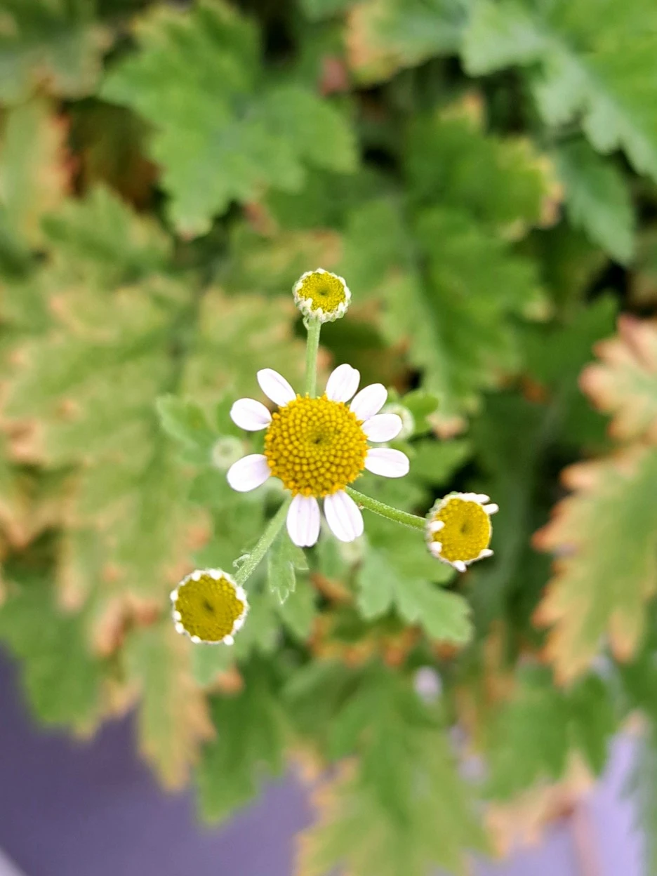 20220625_163206.jpg?type=w1