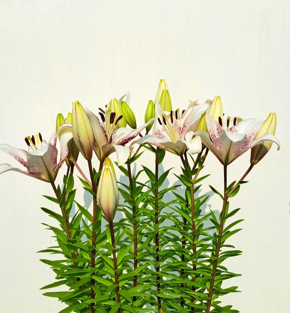 20220610_082843.jpg?type=w1