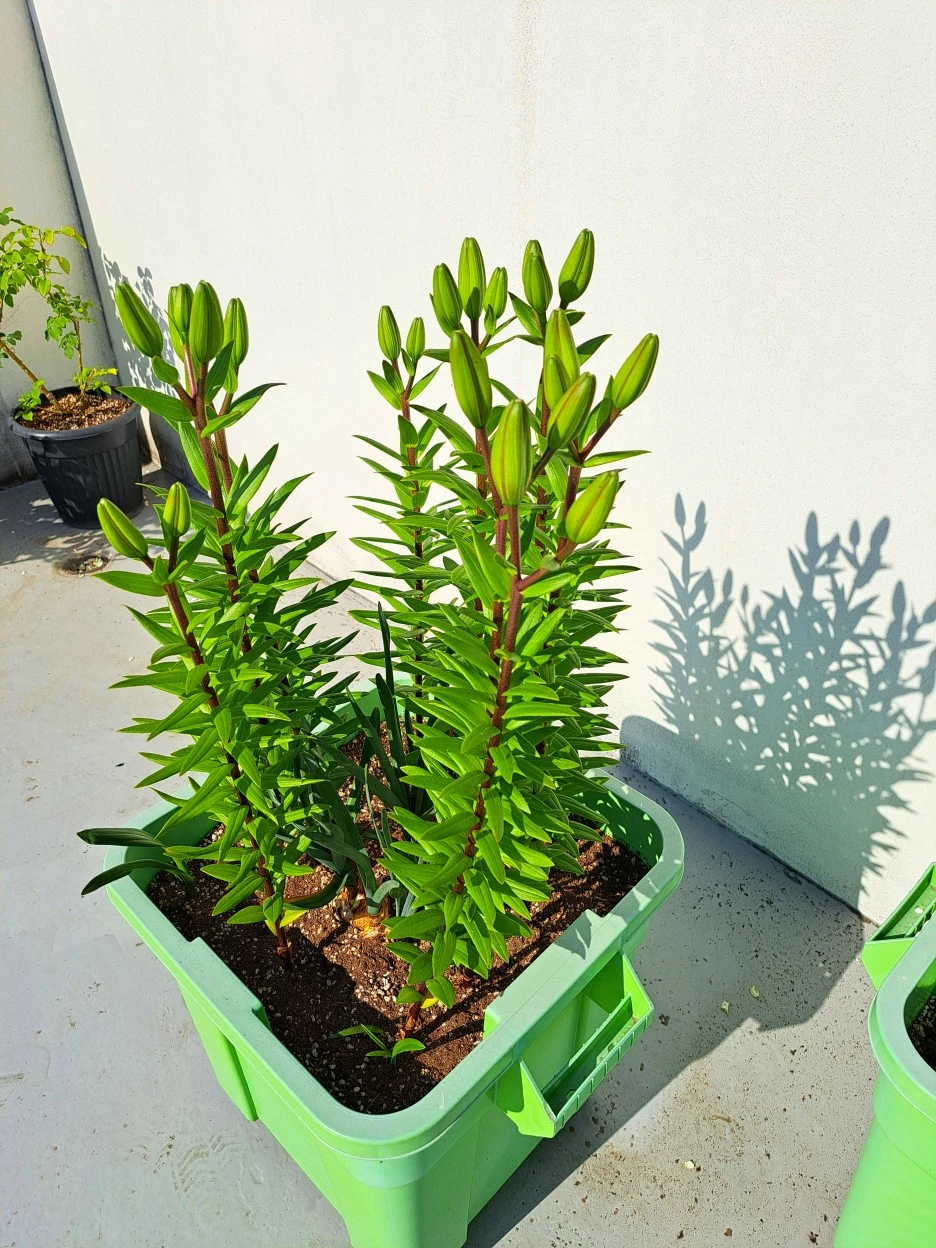 20220531_082442.jpg?type=w1