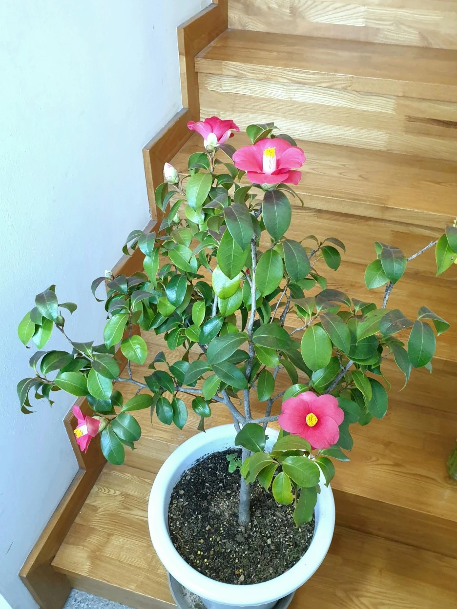 20220227_150402.jpg?type=w1