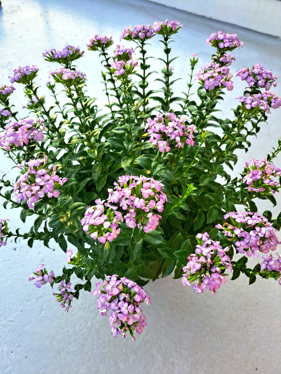 20220804_181613.jpg?type=w1