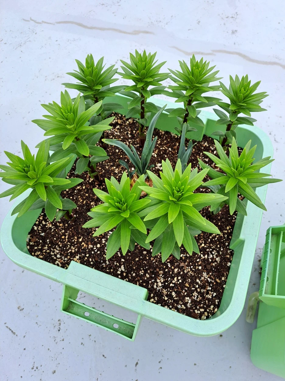 20220429_172640.jpg?type=w1