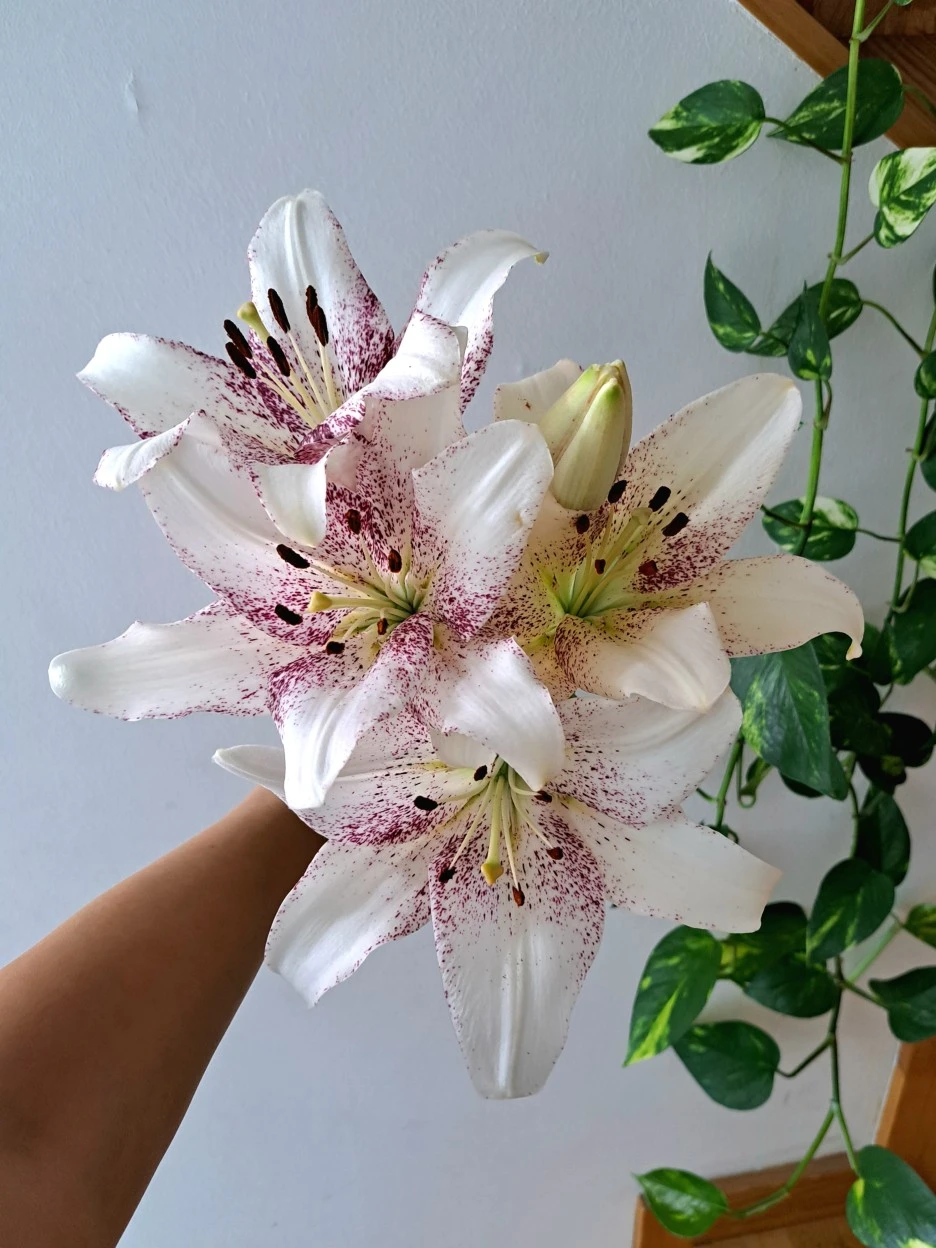 20220611_113942.jpg?type=w1