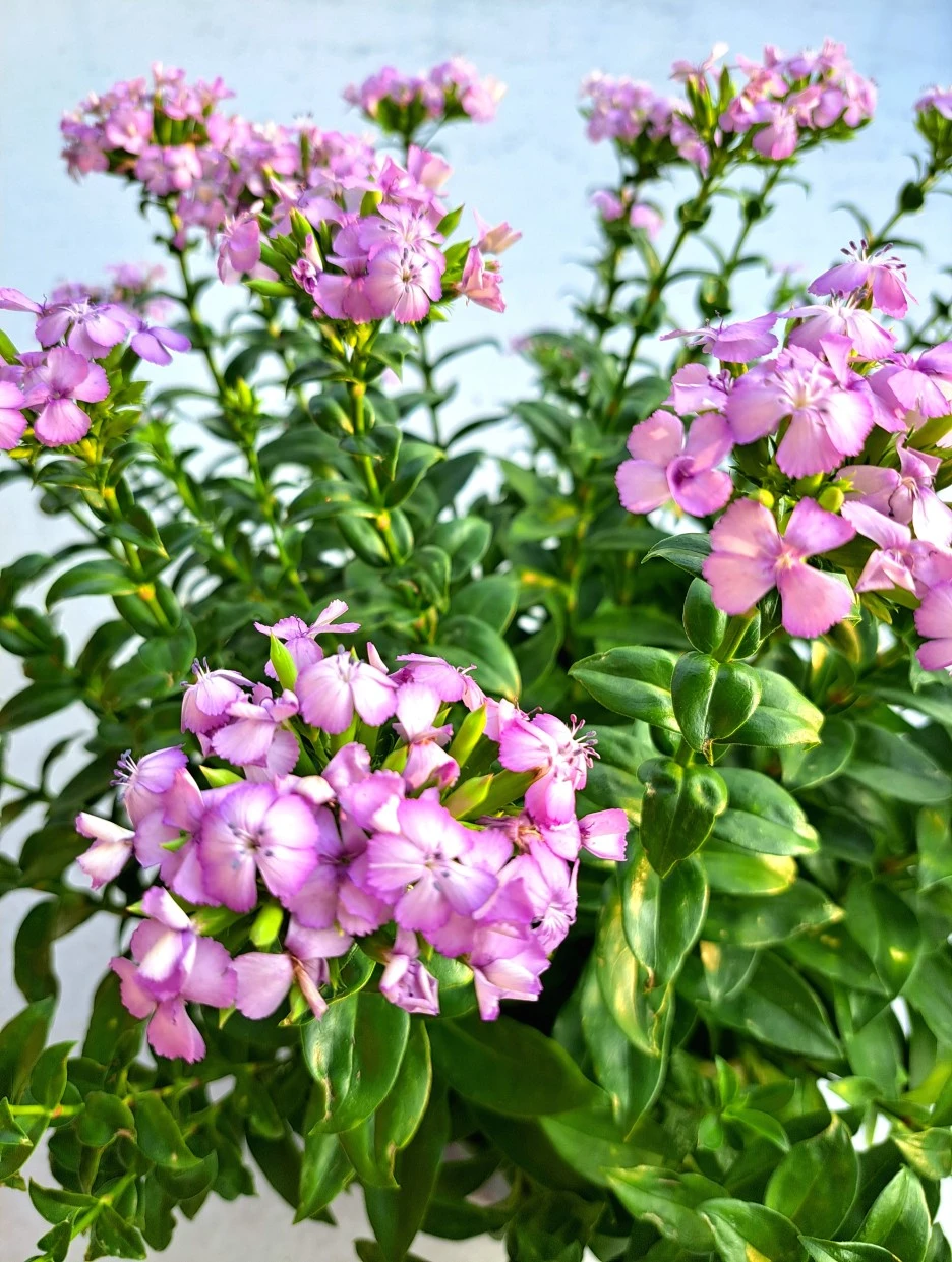 20220804_181711.jpg?type=w1