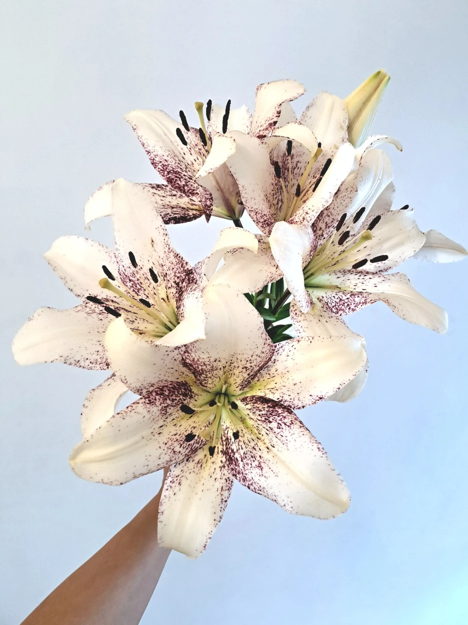 20220612_120205.jpg?type=w1