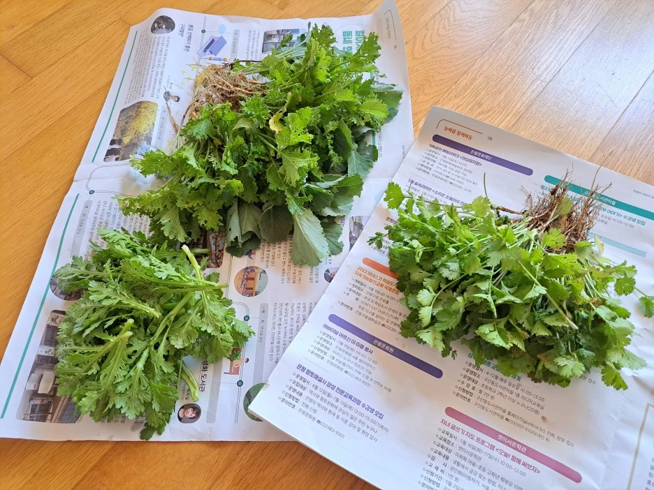 20230523_095842.jpg?type=w1