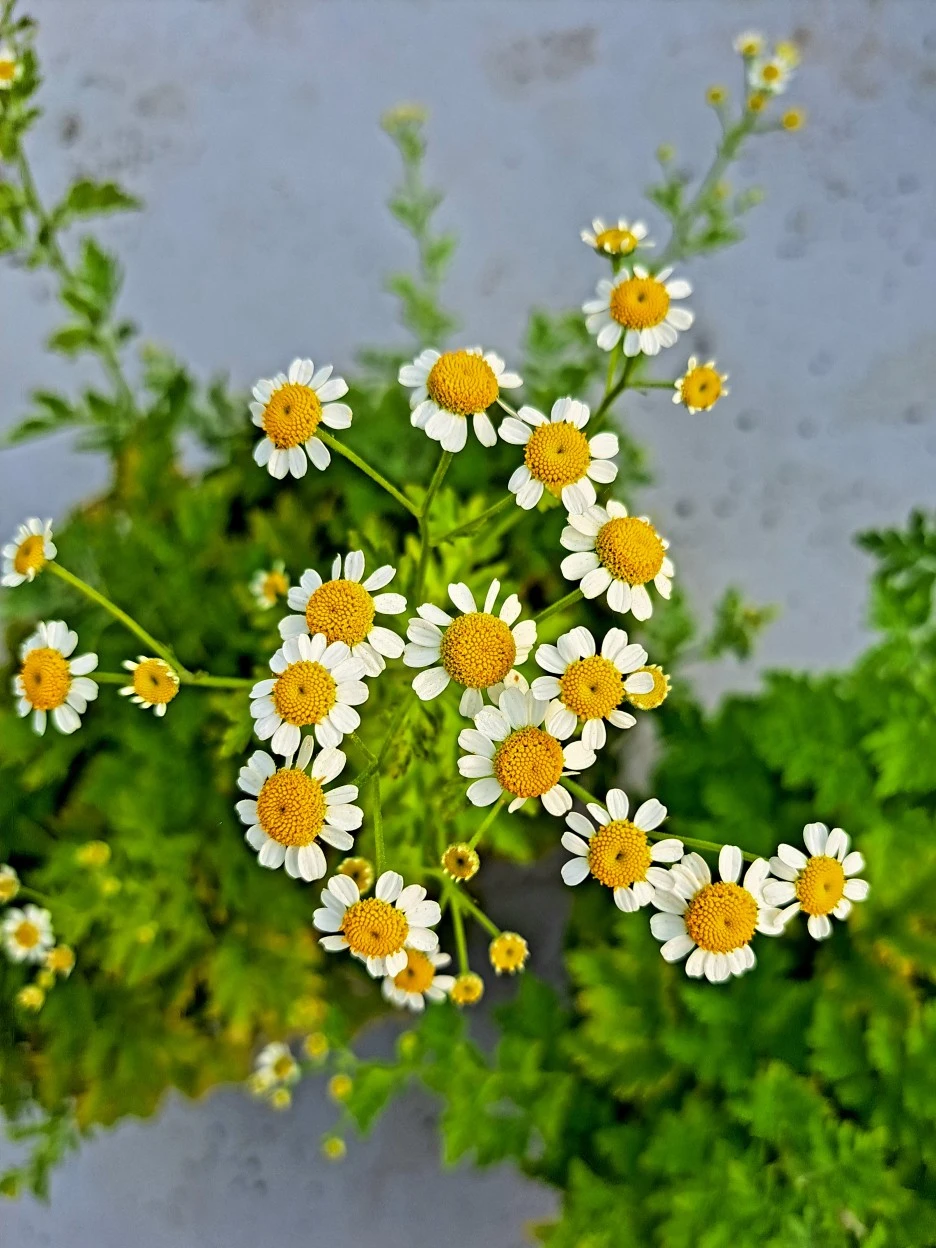 20220622_171828.jpg?type=w1