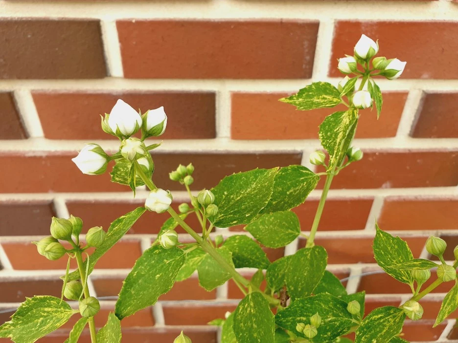 20210514_185641.jpg?type=w1