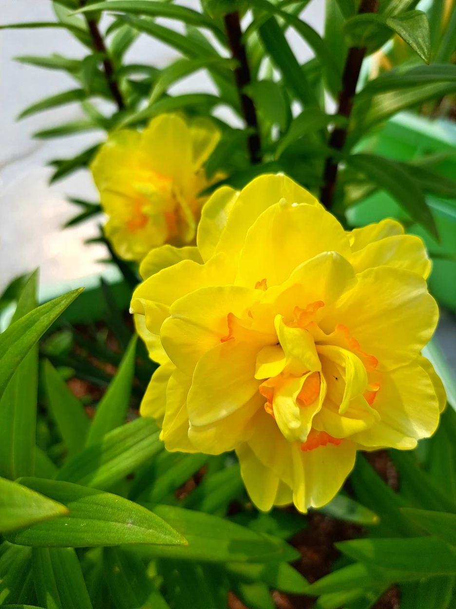 20220521_093026.jpg?type=w1