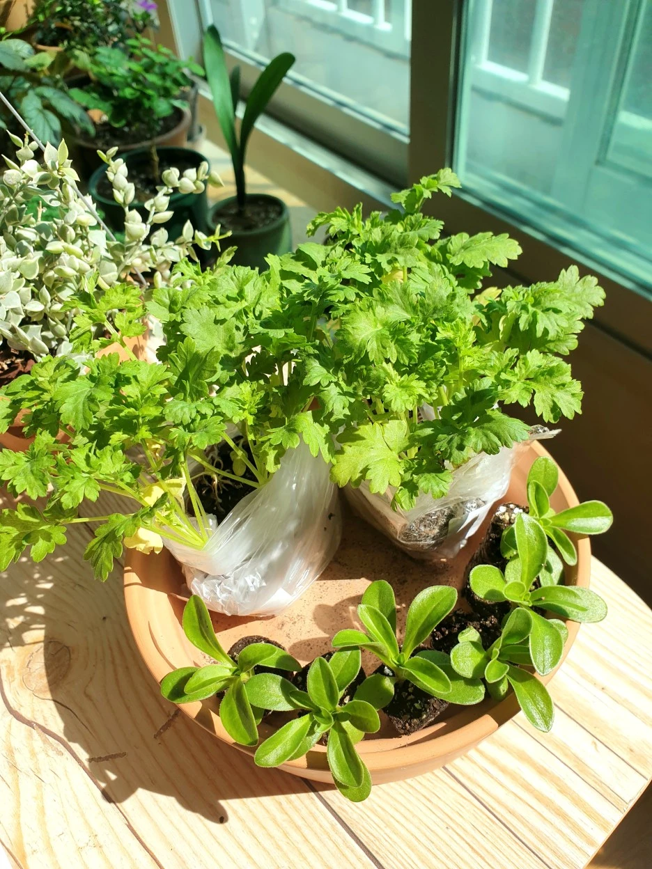 20220322_150745.jpg?type=w1