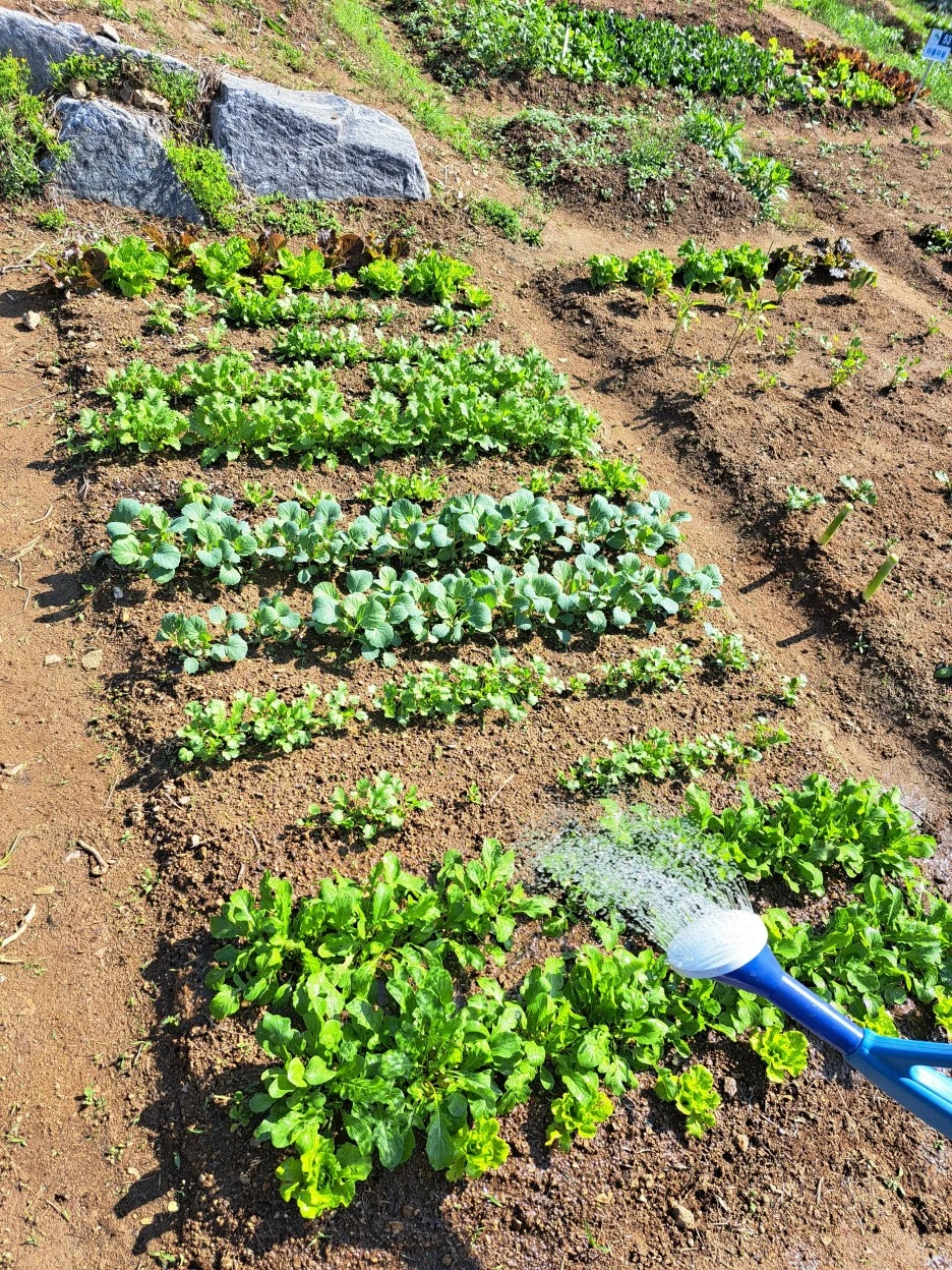 20230508_091402.jpg?type=w1