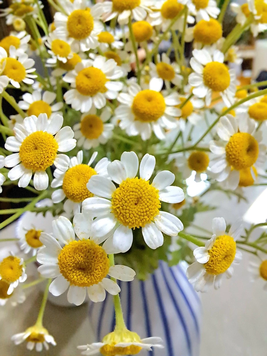 20220702_231700.jpg?type=w1