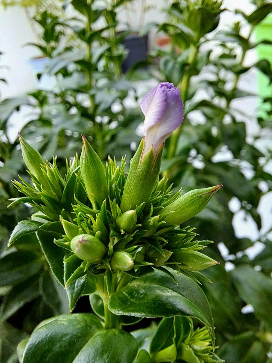 20220712_083642.jpg?type=w1