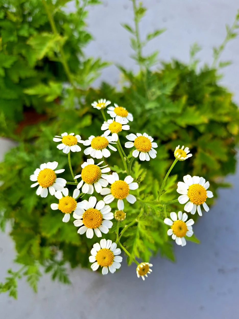 20220622_171808.jpg?type=w1