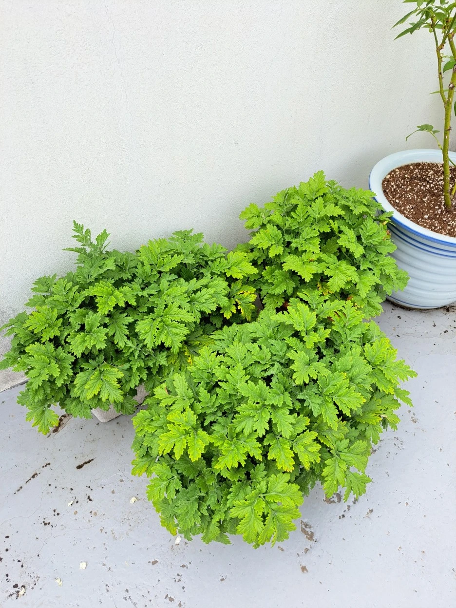 20220529_105410.jpg?type=w1