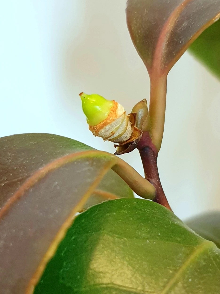 20220314_083520.jpg?type=w1