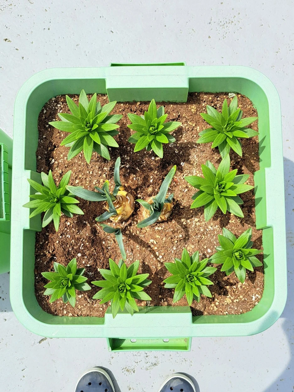 20220423_125115.jpg?type=w1