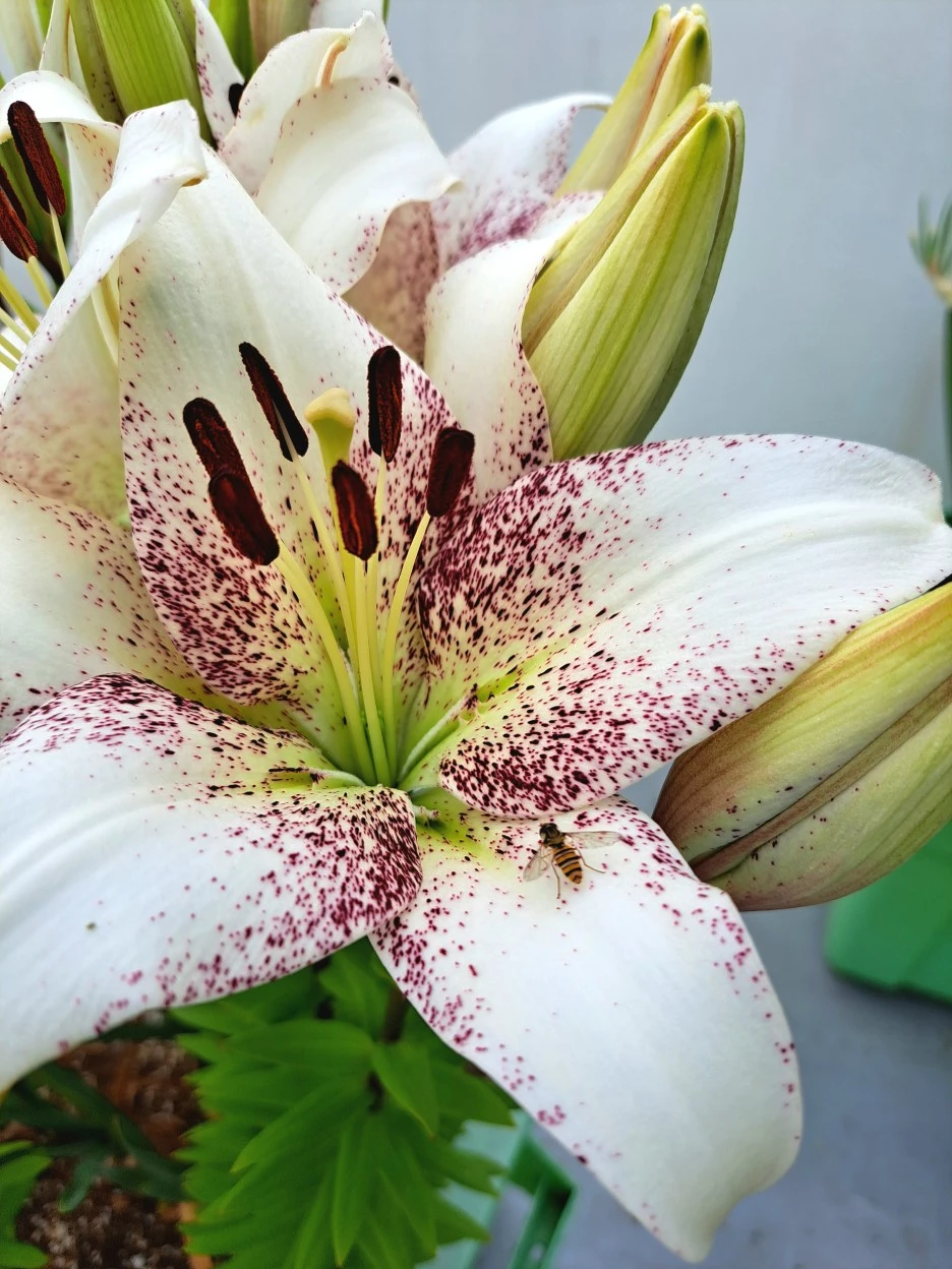 20220609_115316.jpg?type=w1