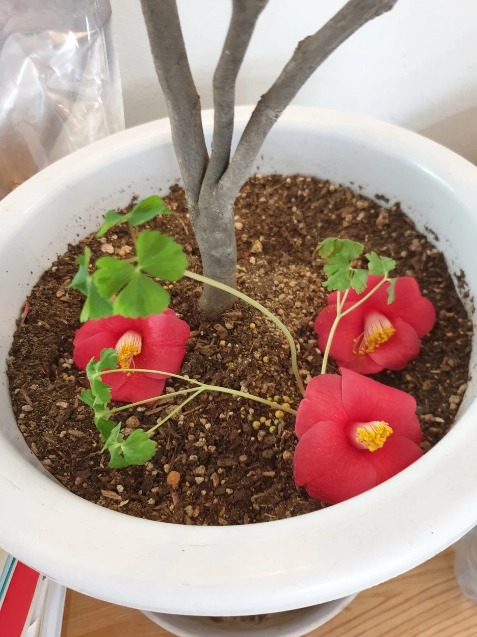 20220307_102333.jpg?type=w1