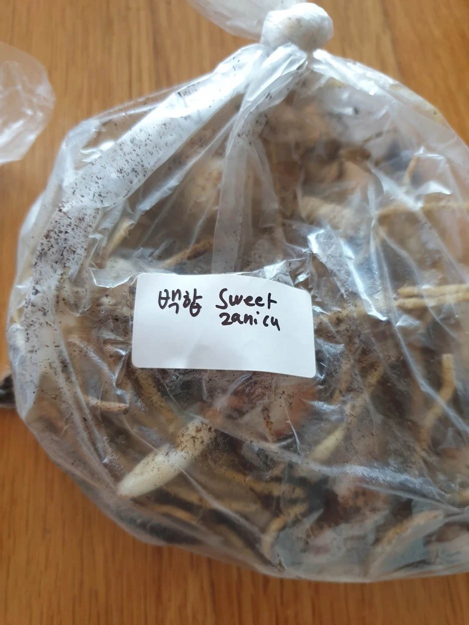 20220322_102019.jpg?type=w1