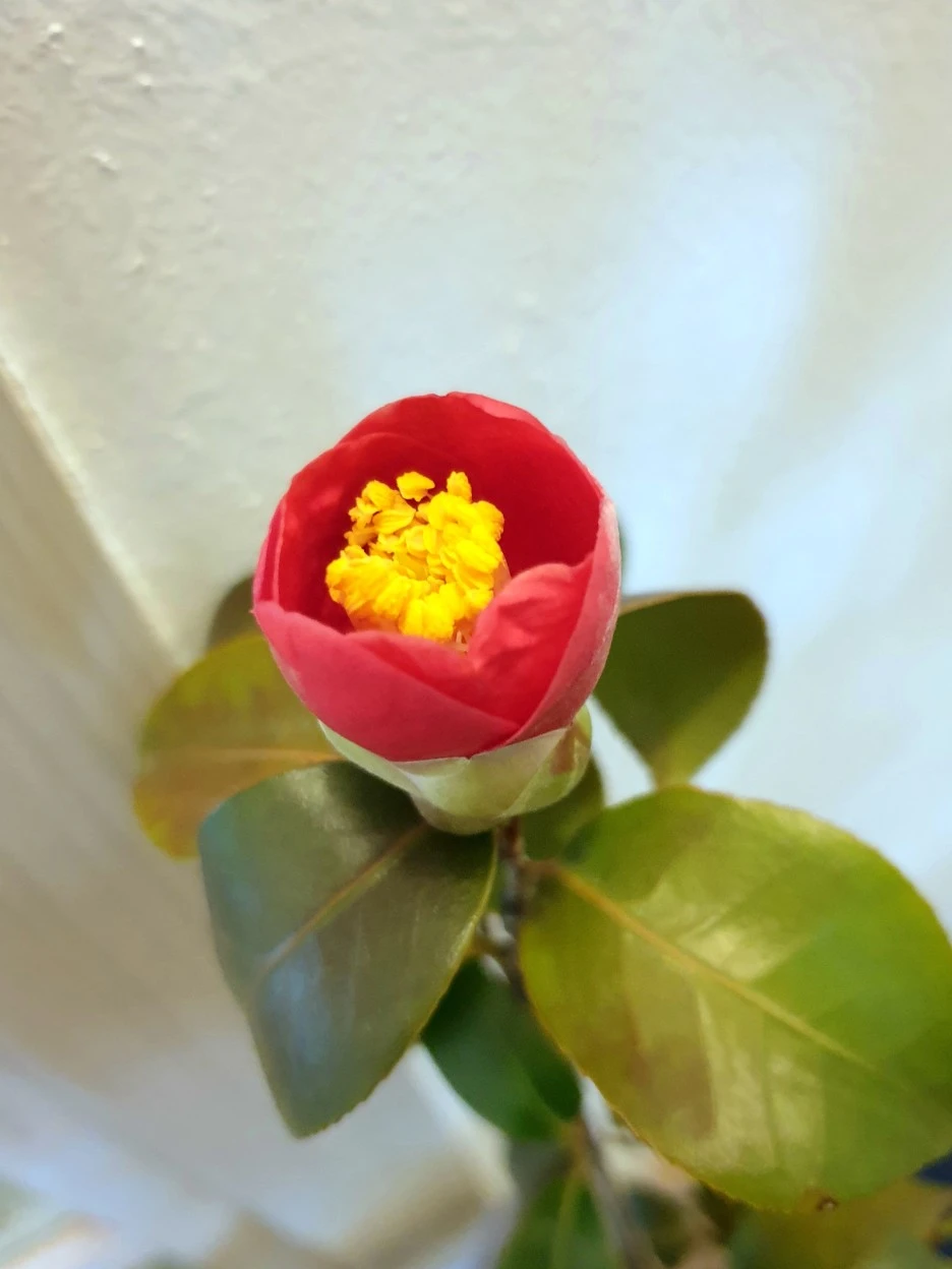 20220311_082145.jpg?type=w1