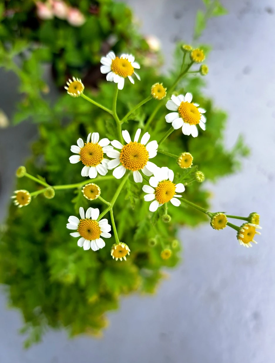 20220617_161656.jpg?type=w1