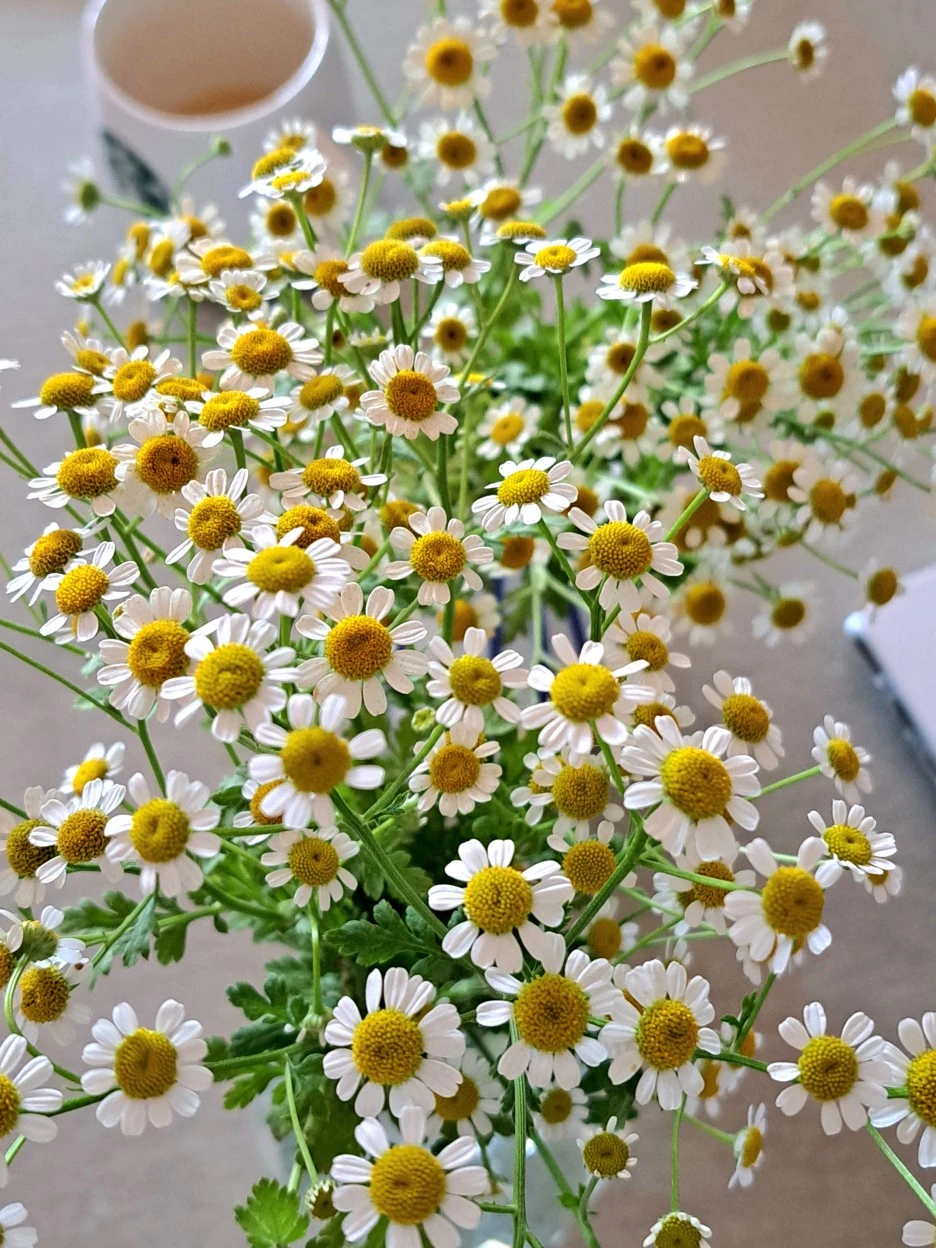 20220703_120716.jpg?type=w1