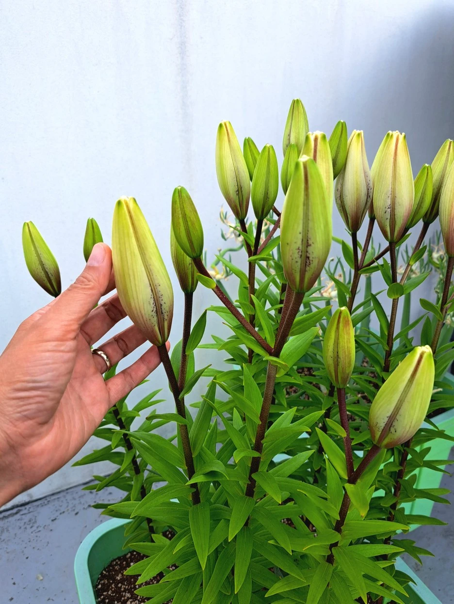 20220607_154441.jpg?type=w1