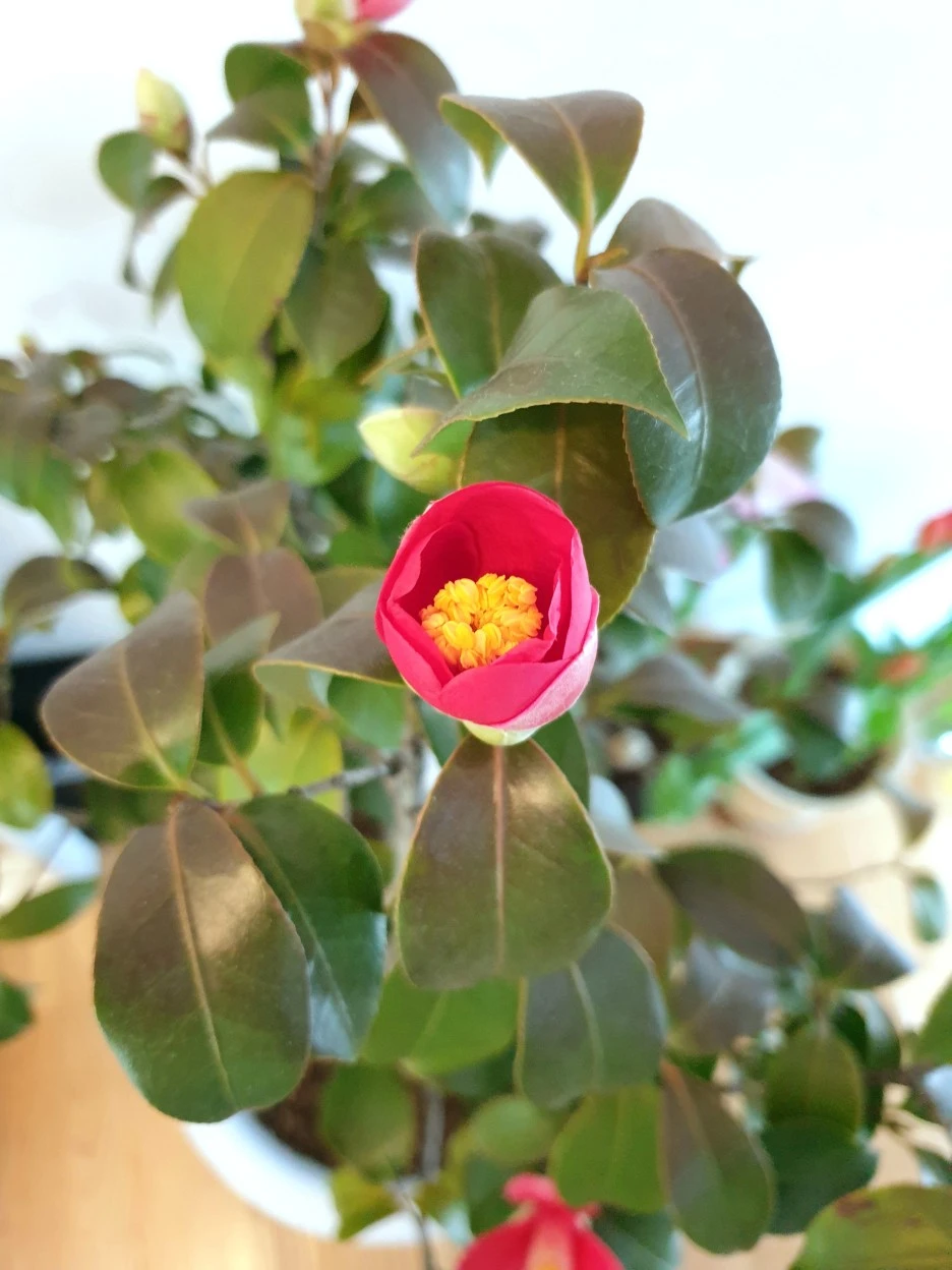 20220223_103005.jpg?type=w1