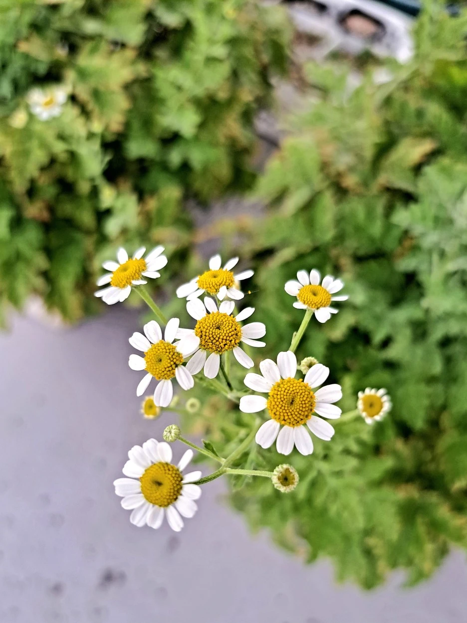 20220625_163115.jpg?type=w1