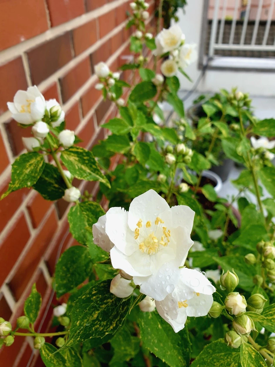 20210515_150404.jpg?type=w1