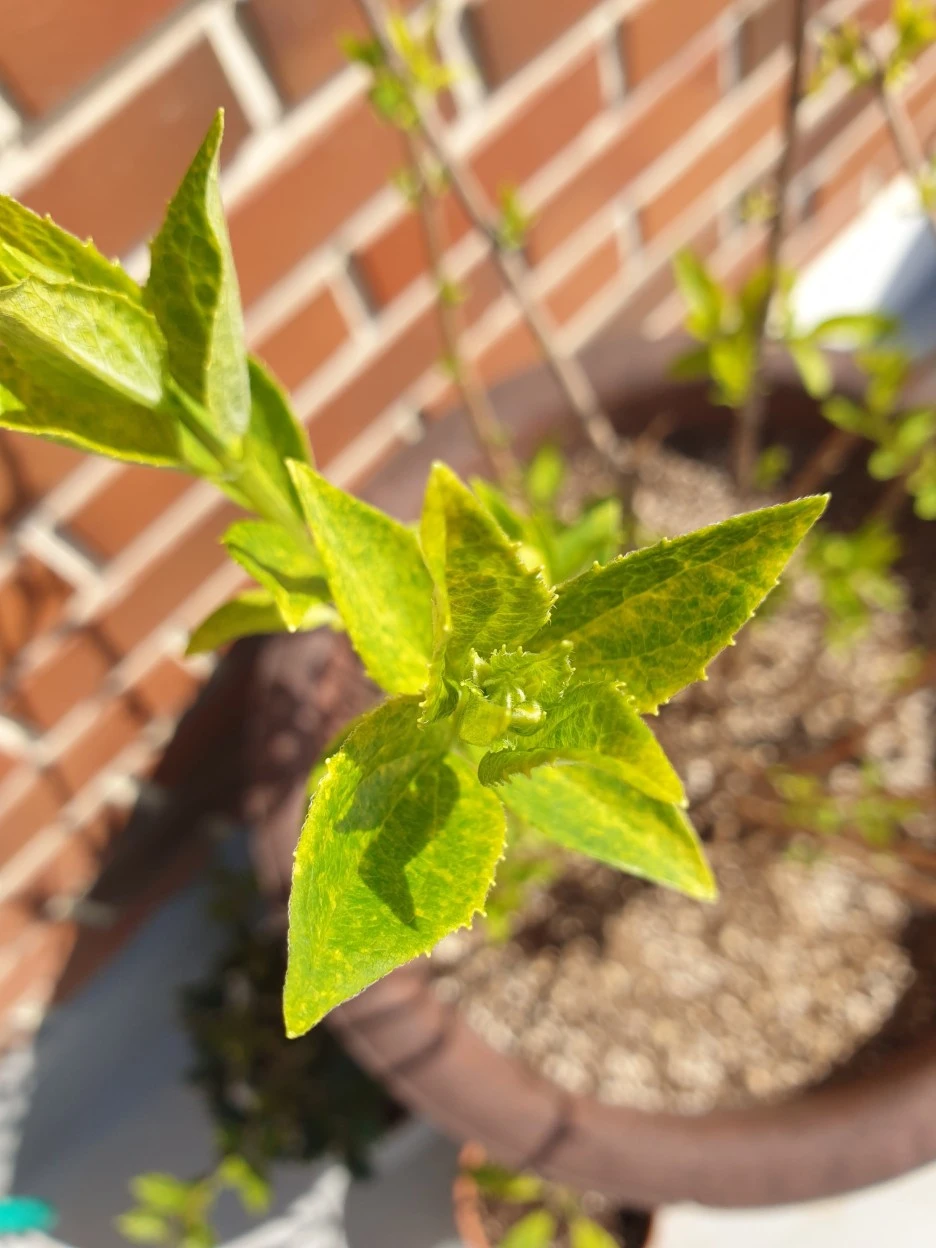 20210408_094447.jpg?type=w1