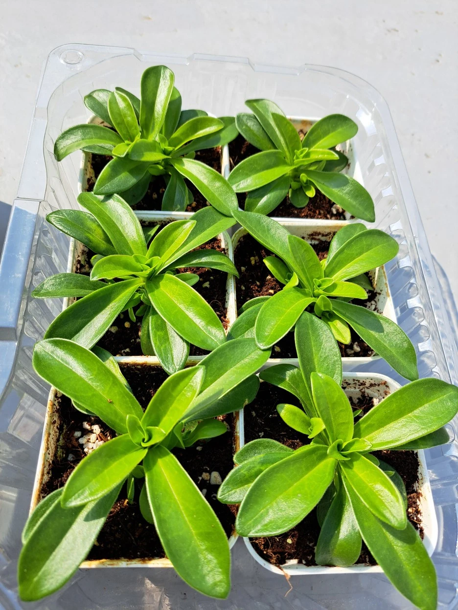 20220419_095228.jpg?type=w1