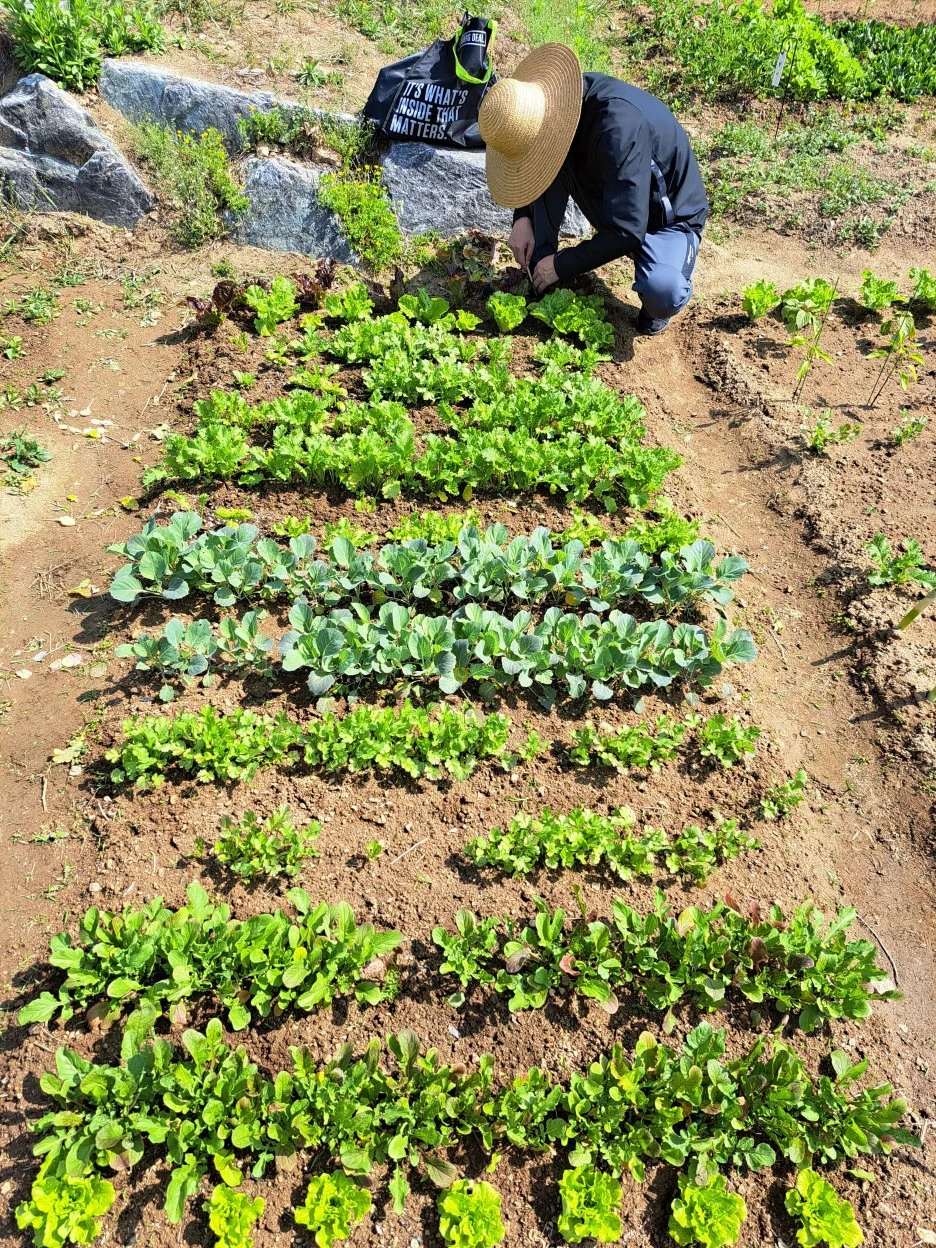 20230515_095419.jpg?type=w1