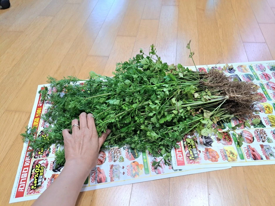 20230614_182906.jpg?type=w1