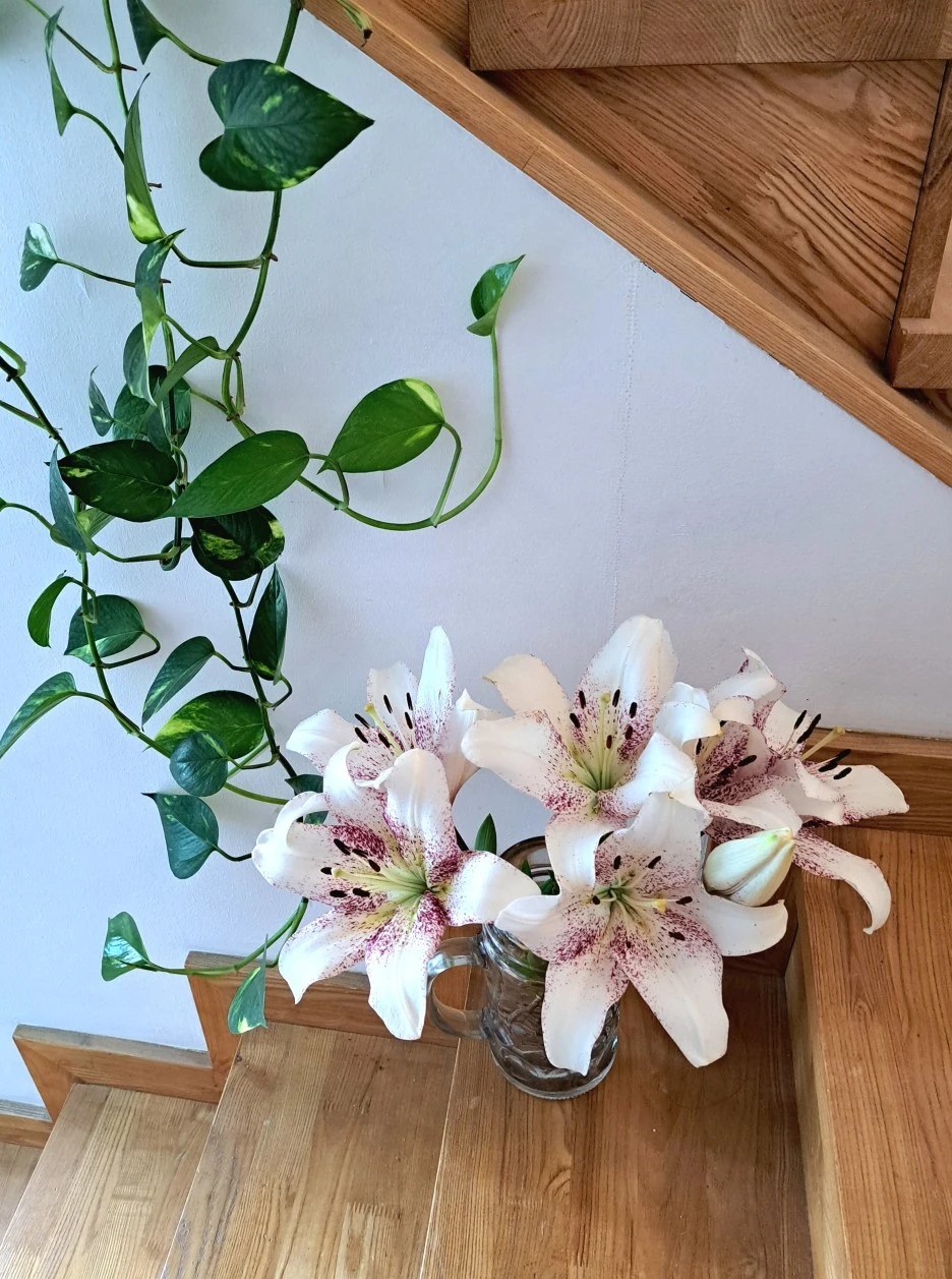 20220612_120306.jpg?type=w1