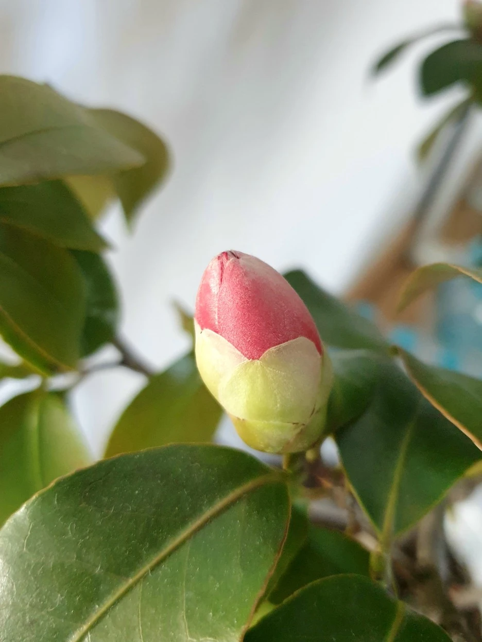 20220217_102229.jpg?type=w1