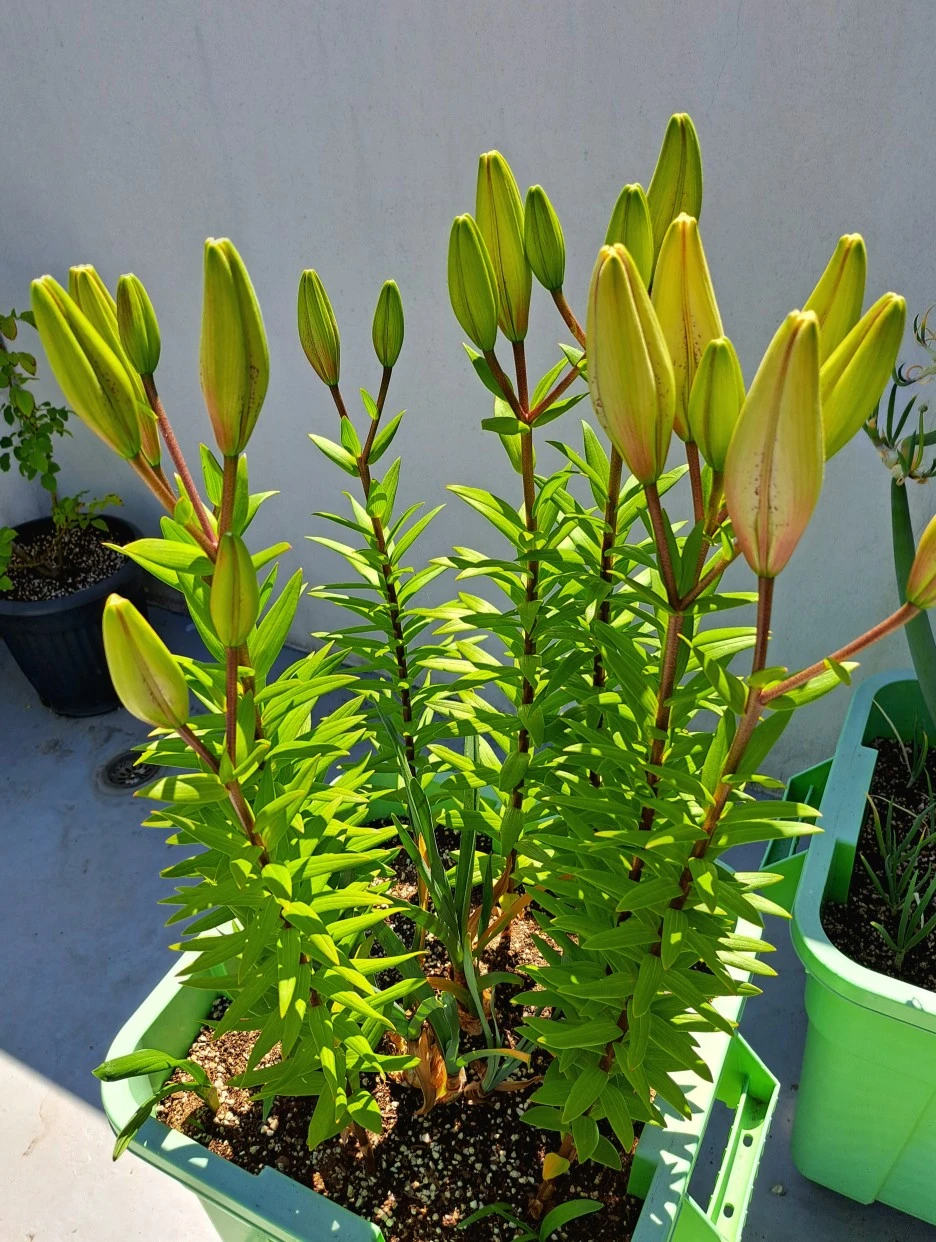 20220606_144046.jpg?type=w1